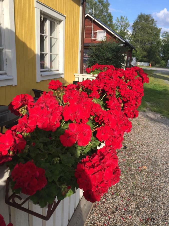 Enecopia Bed & Breakfast Enköping Dış mekan fotoğraf